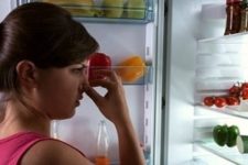 Mold in the refrigerator - what to do