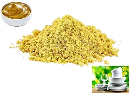 Mustard powder detergent