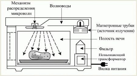 El principio de funcionamiento del horno microondas.